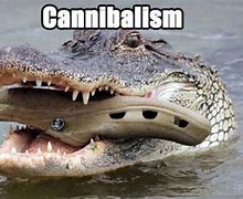 Image result for Funny Croc Shoe Memes