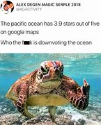 Image result for Open Sea Memes