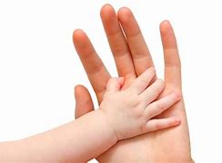 Image result for Sense of Touch Feel