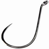 Image result for barbed fish hook