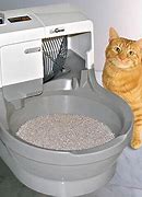 Image result for Funny Cat Litter Box Memes