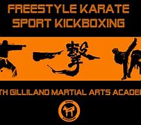 Image result for Martial Arts Banner
