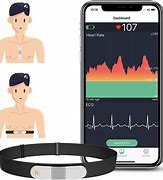 Image result for Heart Rate Monitors Wearable