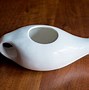 Image result for How to Use Neti Pot