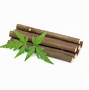 Image result for Neem Stick Toothbrush