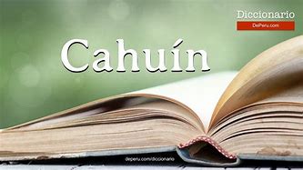 Image result for cahu�n