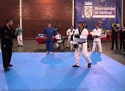 Image result for what is the deadliest martial arts?