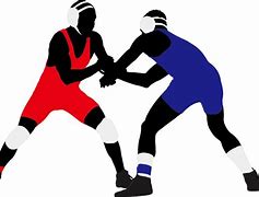 Image result for Wrestling