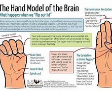 Image result for Brain Expand Hand
