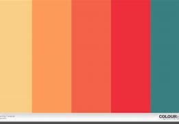 Image result for 5 Color Palette