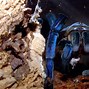 Image result for Cobalt Blue Tarantula