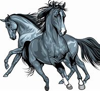 Image result for Transparent Horse with Blanket Eating