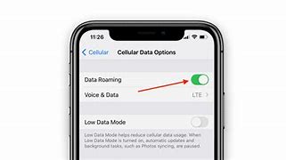 Image result for No Cellular Data Option iPhone