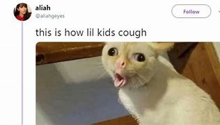 Image result for Coughing Cat Meme 1080X1080