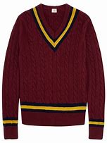 Image result for Irish Cricket Jumper