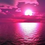 Image result for Bright Hot Pink Background