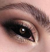 Image result for Whole Eye Contacts