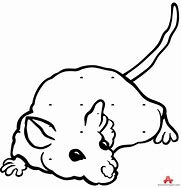 Image result for Mouse Outline Clip Art