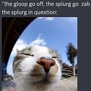 Image result for Cat Gloop Meme