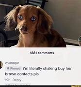Image result for Please but Them Contacts Meme