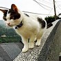 Image result for What to See in Taiwan
