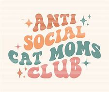 Image result for Anti Social Cat Meme Couch