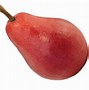 Image result for Pick Pears