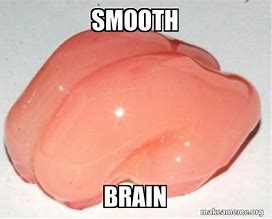 Image result for Soft Brain Meme