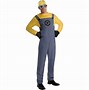 Image result for Minion Fancy Dress Costume