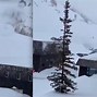 Image result for Avalanche Takes Out Parking at Alta Ski Resort