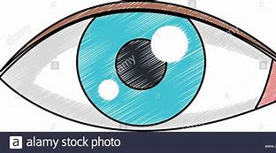 Image result for Human Eye Cartoon