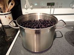 Image result for Grapes in a Pot