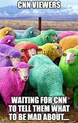 Image result for CNN News Meme