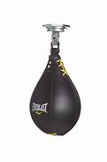 Image result for Speed Punching Bag