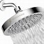 Image result for Outdoor Rain Shower Head