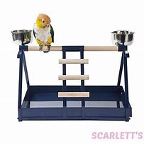Image result for Table Top Parrot Stand
