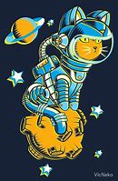 Image result for Cool Space Cat