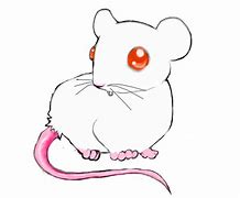 Image result for Cute Anime Boy Mouse