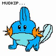 Image result for Mudkip Pop Socket