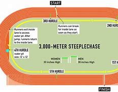 Image result for Steeplechase Athletics