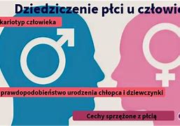 Image result for co_oznacza_Życie_i_płodność