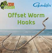 Image result for Offset Worm Hook