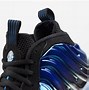 Image result for Special Edition Foamposites