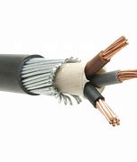 Image result for Armored Electrical Cable