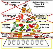 Image result for Vegan Weight Loss Results