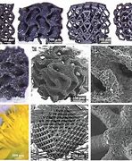 Image result for Graphene Aerogel