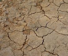Image result for Cracked Dirt