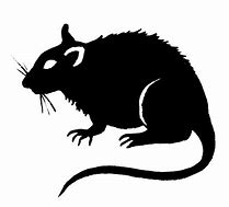 Image result for Evil Rat Line Art
