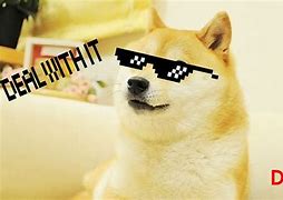 Image result for Know Your Meme Doge