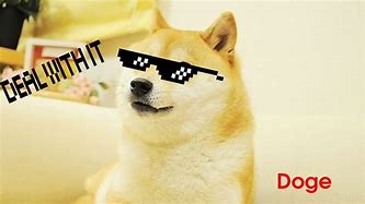 Image result for Samurai Doge Meme